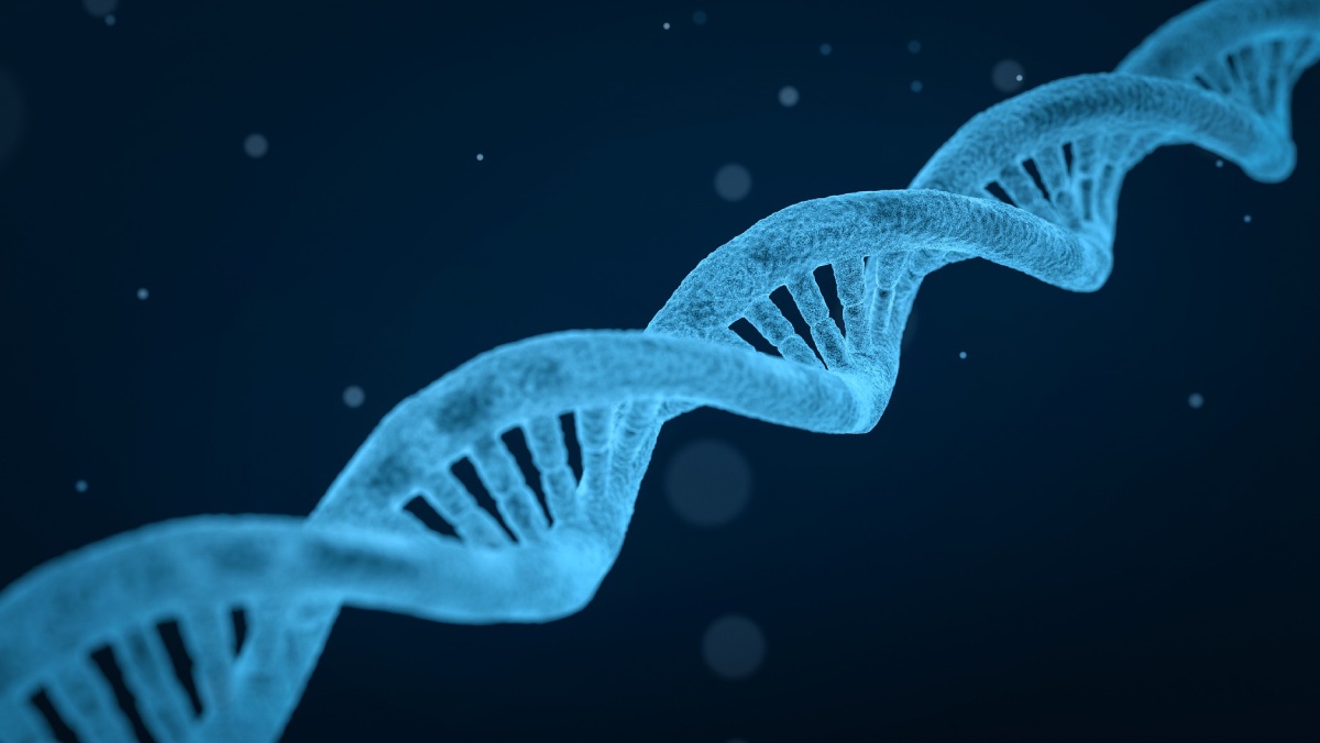 Un grupo de investigadores del CSIC revela nuevas diversidades del ARN en un estudio revolucionario