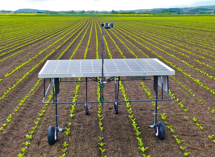 Un ecoRobotix trabajando en un cultivo