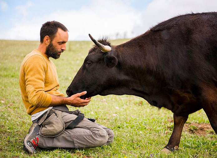 Fotografía de Eduardo Terrer con una de sus vacas