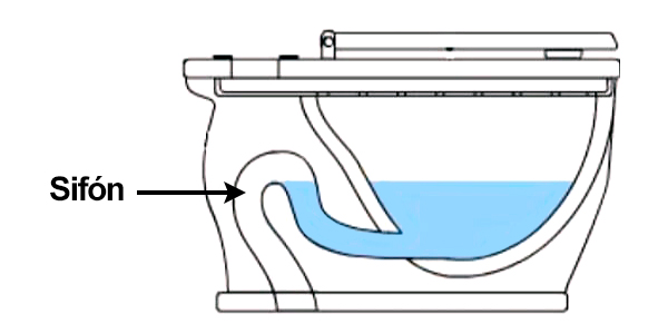 efecto producido por el sifón del water.