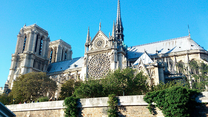 El bosque de la Catedral de Notre Dame