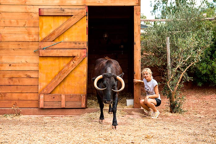 Elena Tova, fundadora de El Hogar Animal Sanctuary, junto a la vaca Margarita