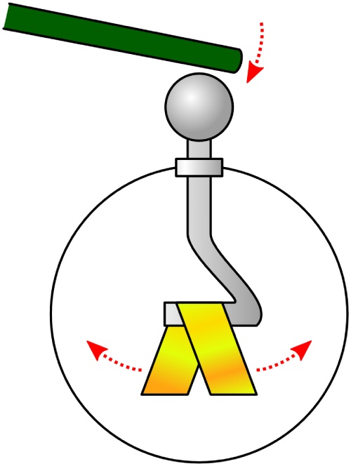 Partes básicas de un electroscopio