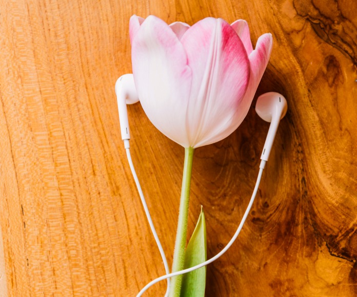 Una flor junto a unos audífonos.