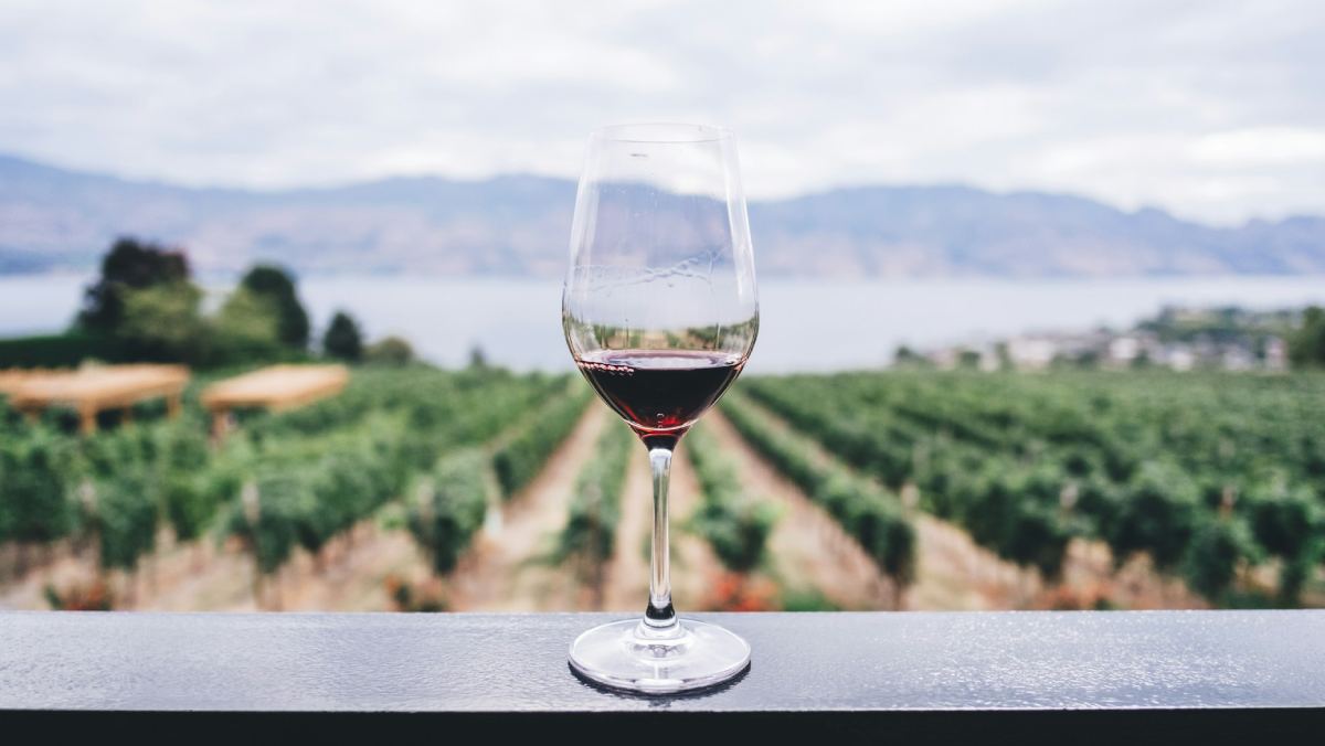 La Interprofesional del Vino de España amplía su oferta de formación online gratuita