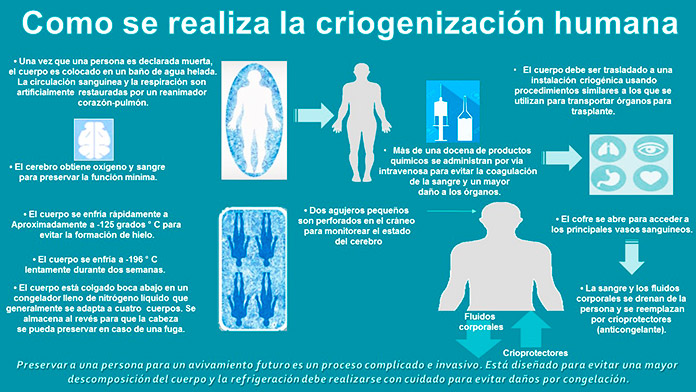 Cómo se realiza la criogenización humana