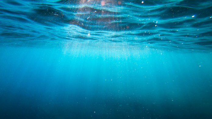 Fondo marino