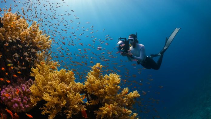 Fotografía en ecosistemas acuáticos