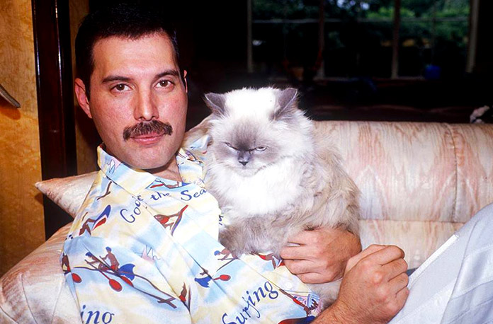 Freddie Mercury con Delilah