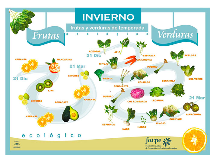 Infografía con las frutas y verduras de invierno 