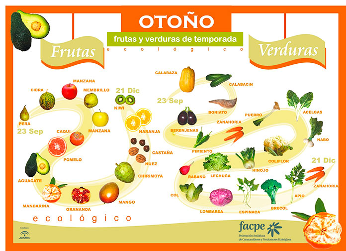 Infografía con las frutas y verduras de otoño