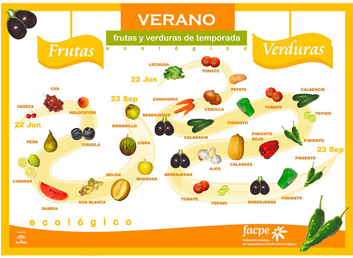 Infografía con las frutas y verduras de verano