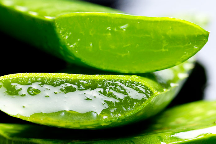 Gel de aloe vera