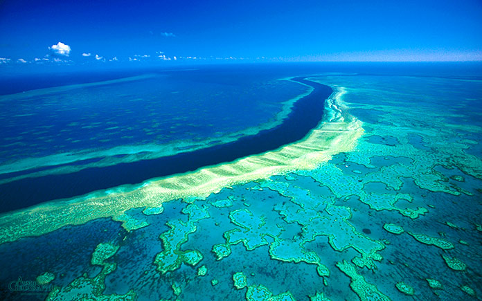 Gran barrera de coral, Australia