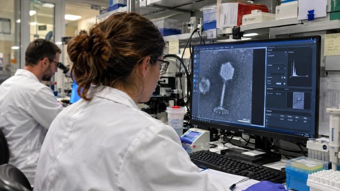 Investigadores analizando un bacteriófago en un laboratorio.