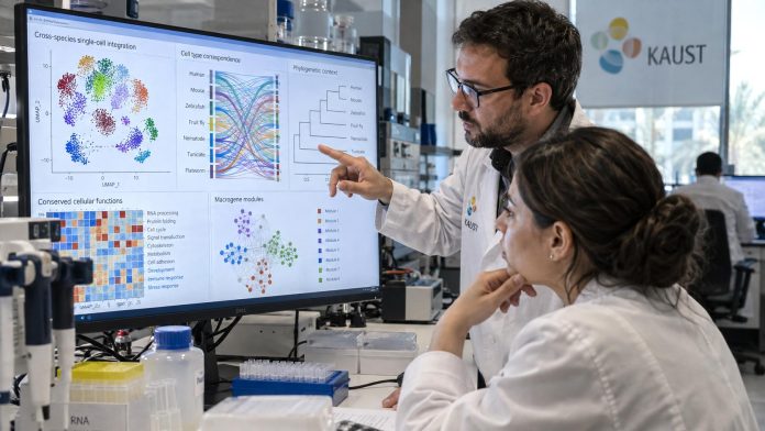 Representación del análisis mediante IA que conecta células de distintas especies
