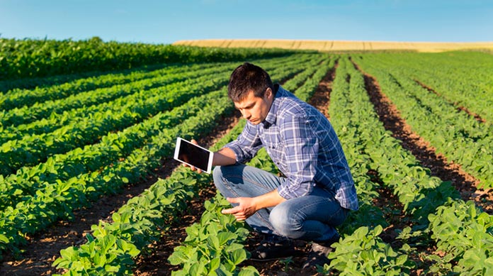 Ingeniero ambiental analizando un campo de cultivo