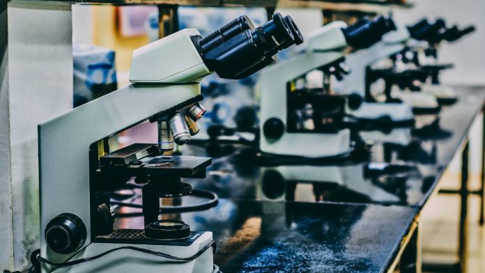 Innovación en ciencia, científicos, estudios.