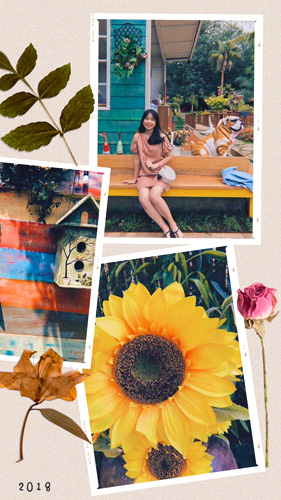 Trucos para Instagram Stories - Collages en las Stories