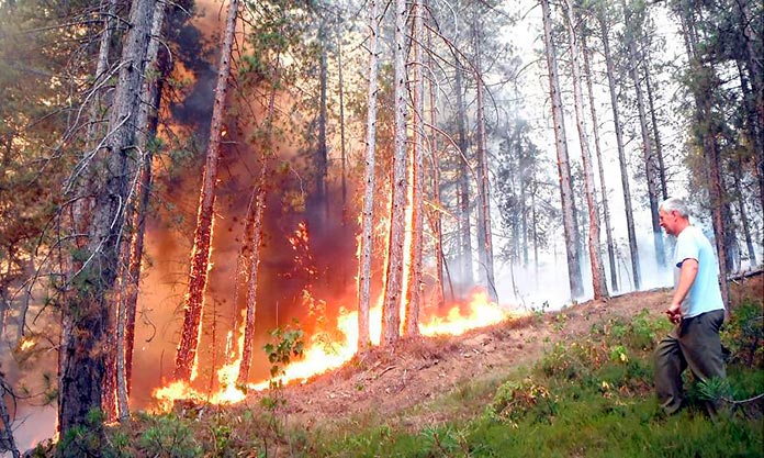 Incendios forestales intencionados