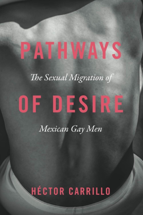 investigacion-etnografica-pathways-of-desire