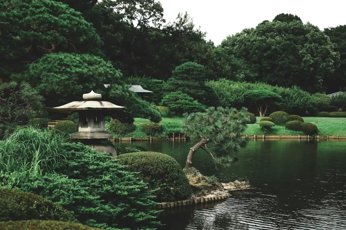 Jardines botánicos y biodiversidad: explorando su rol en la conservación de especies, educación y disfrute estético