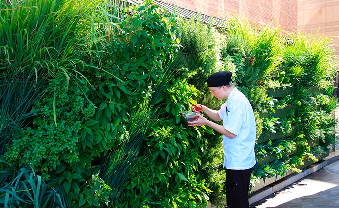 Jardín vertical de sustrato expuesto a la luz directa del sol