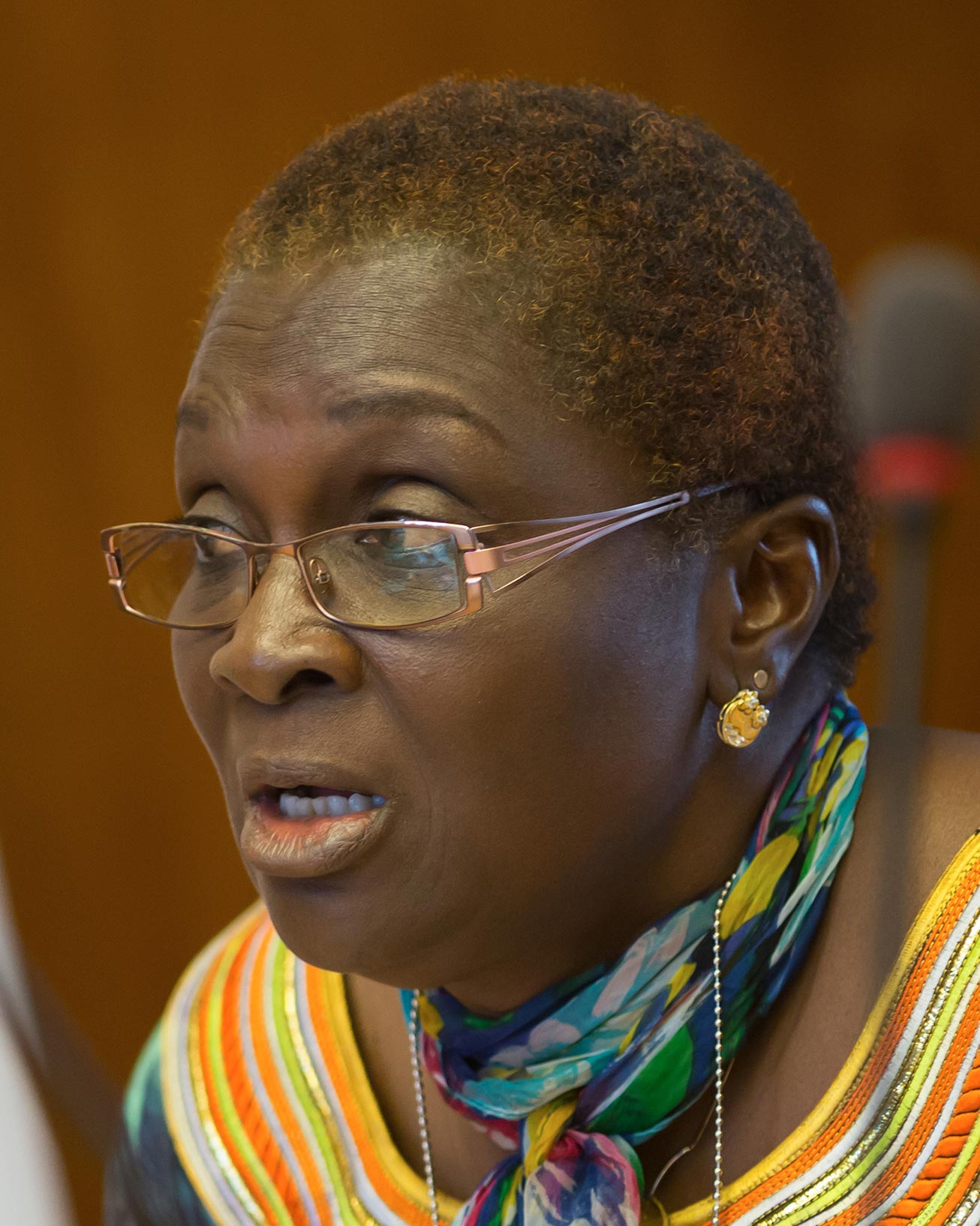 Reine Alapini-Gansou en 2015