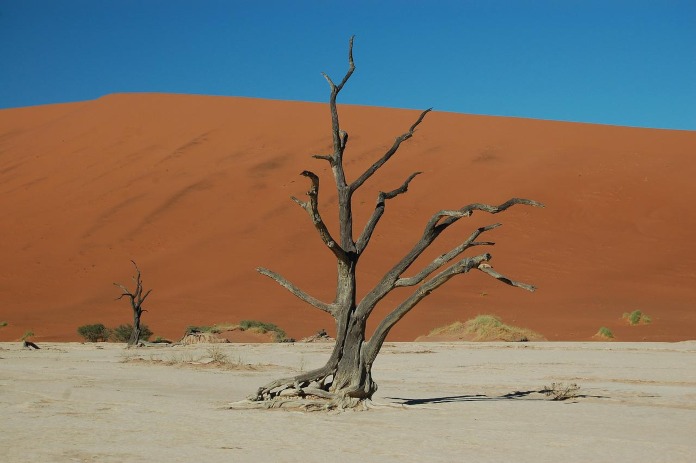 Lugares increíbles del mundo - Deadvlei