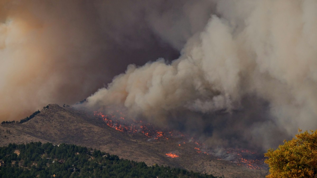 Un grupo de investigadores asegura que el cambio climático y los incendios forestales transforman velozmente los ecosistemas en Canadá y Alaska