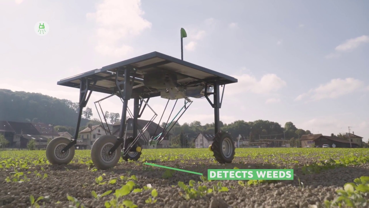 EcoRobotix, el robot agrícola autónomo y ecológico