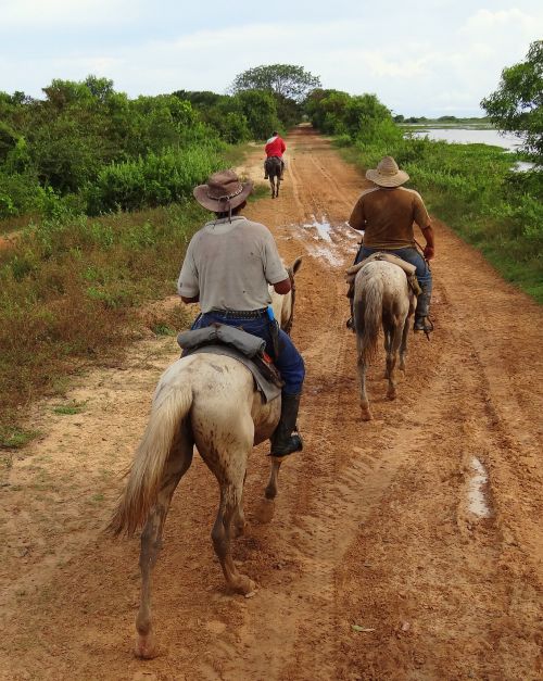 medios-de-transporte-caballo