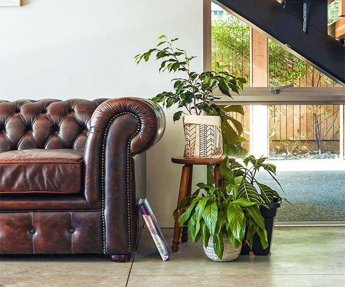 Detalle de sofá marrón, plantas y suelo de cemento