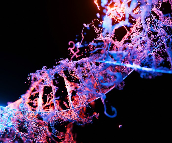 Cadena modificada de ADN.