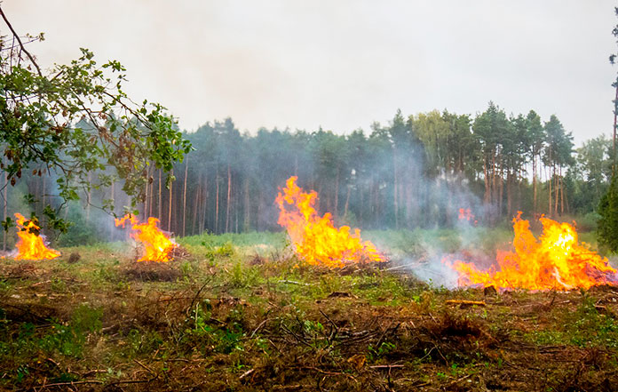 Incendios forestales por otras causas
