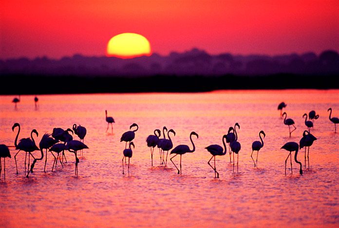 El paraíso al sur del sur: tradición, naturaleza y paz en estado puro