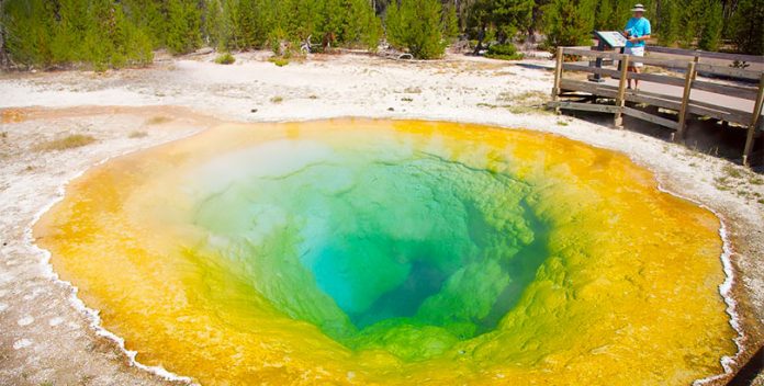 Los parques ecológicos, una manera de contrarrestar la contaminación.