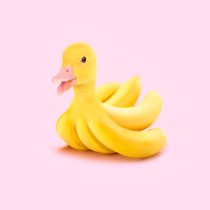 Ducky bananas (Les Creatonautes)