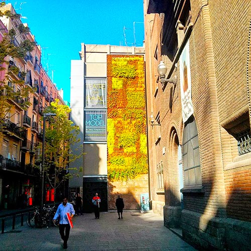 Jardín vertical del Pedró