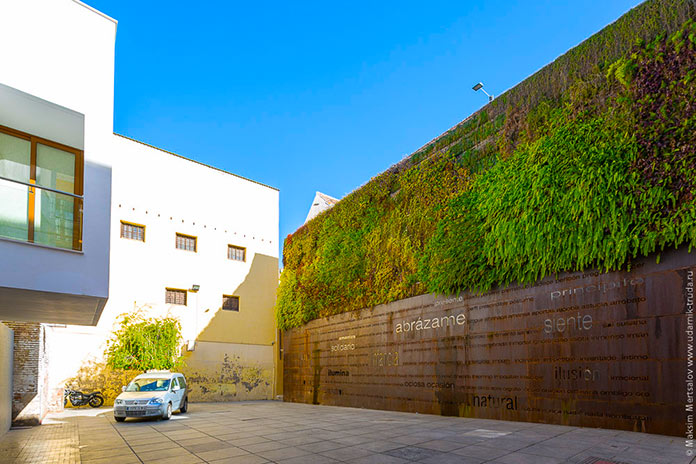 Vista lateral del jardín vertical de la Plaza del Pericón en Málaga