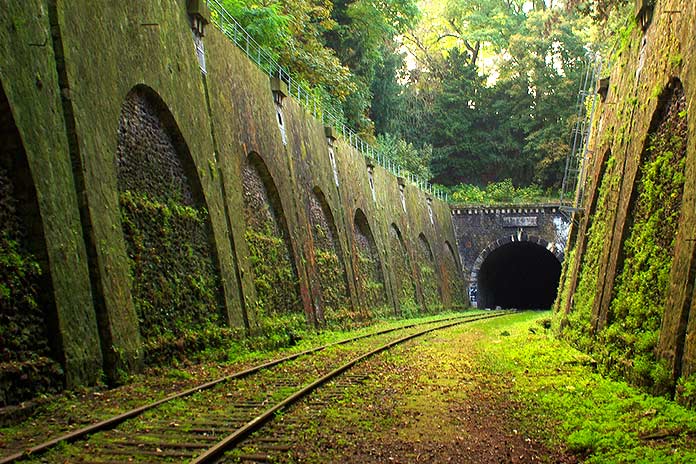 Línea ferroviaria Petite Ceinture