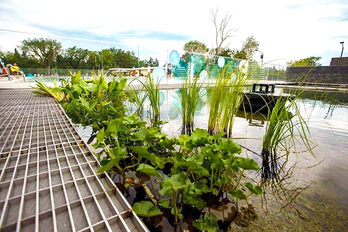 Piscina ecológica de Borden Park