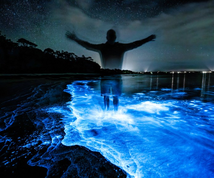 Silueta humana en una playa bioluminiscente..