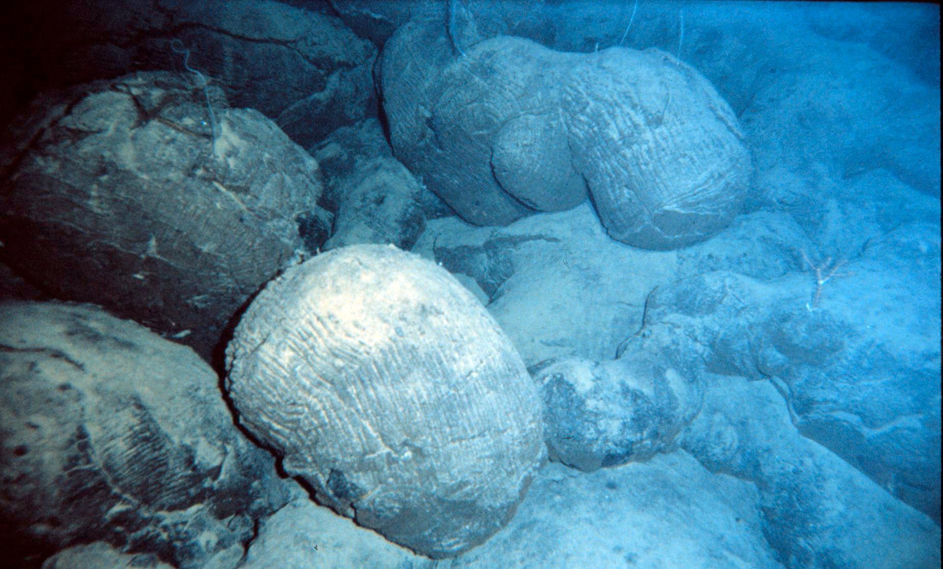Lavas almohadilladas en el fondo del océano en Hawái,