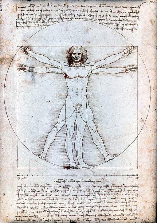 Principios del arte - Proporción - Hombre de Vitruvio, Leonardo da Vinci 