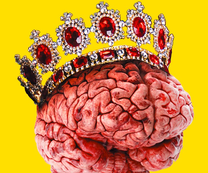 Cerebro humano con corona.