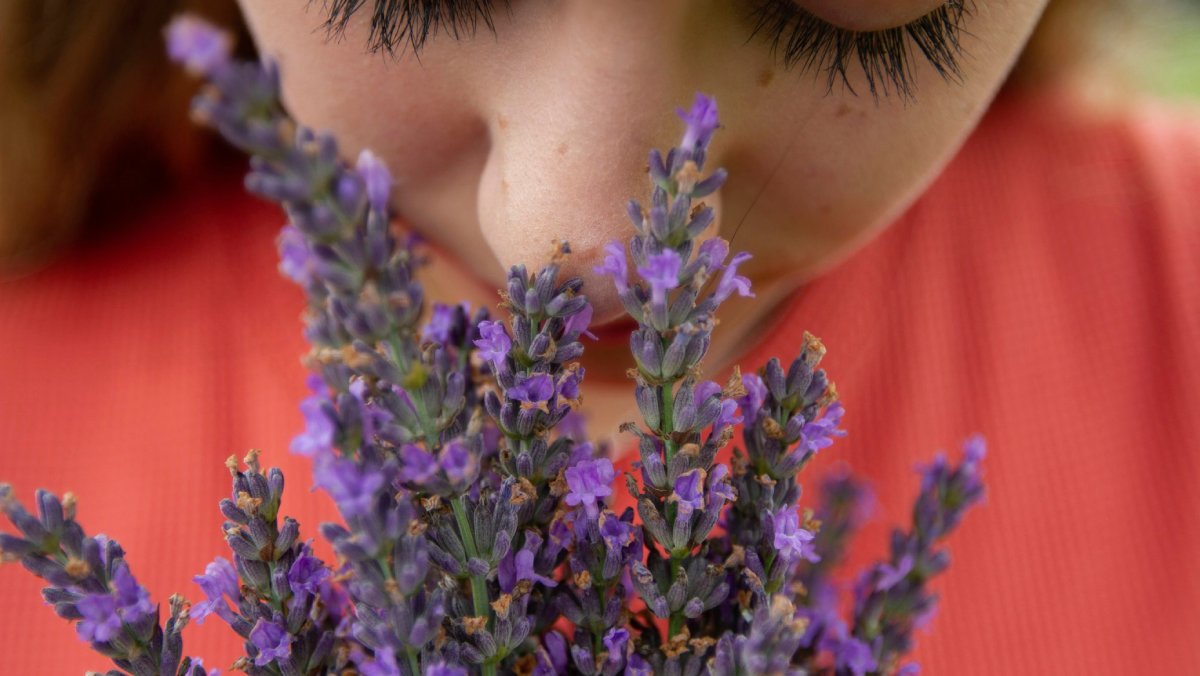 El arte de recrear olores perdidos: el proyecto Odeuropa y su intento de crear aromas de épocas y lugares históricos