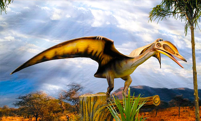 Animales De La Prehistoria Extintos Y Vivos Cinco Noticias