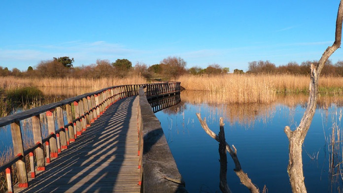 Puente en Las Tablas de Daimiel