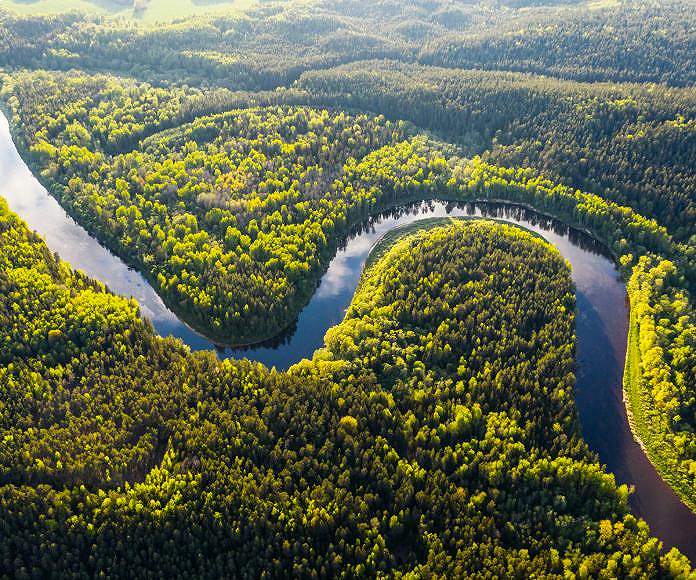 Vista aérea del Amazonas.